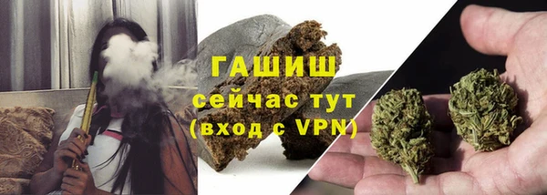 PSILOCYBIN Белокуриха