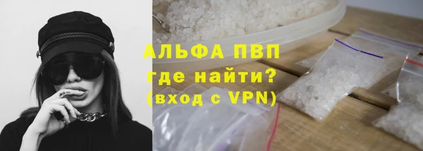 PSILOCYBIN Белокуриха