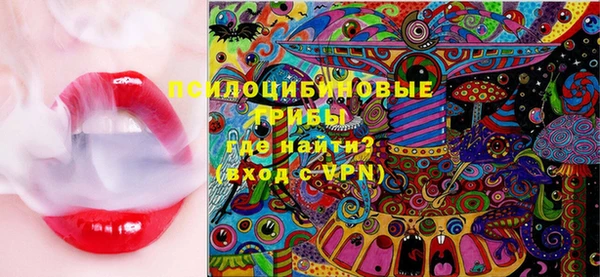 PSILOCYBIN Белокуриха