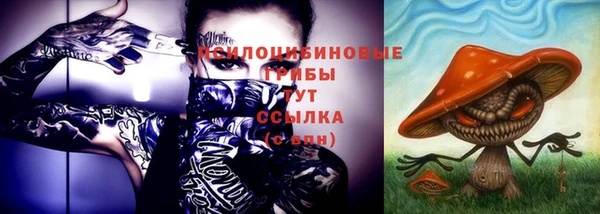 Альфа ПВП Беломорск