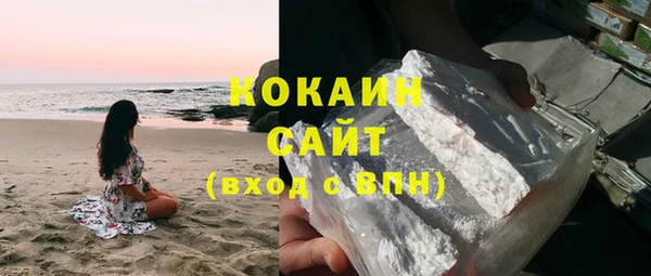PSILOCYBIN Белокуриха